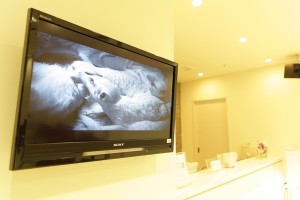 clinic_img010